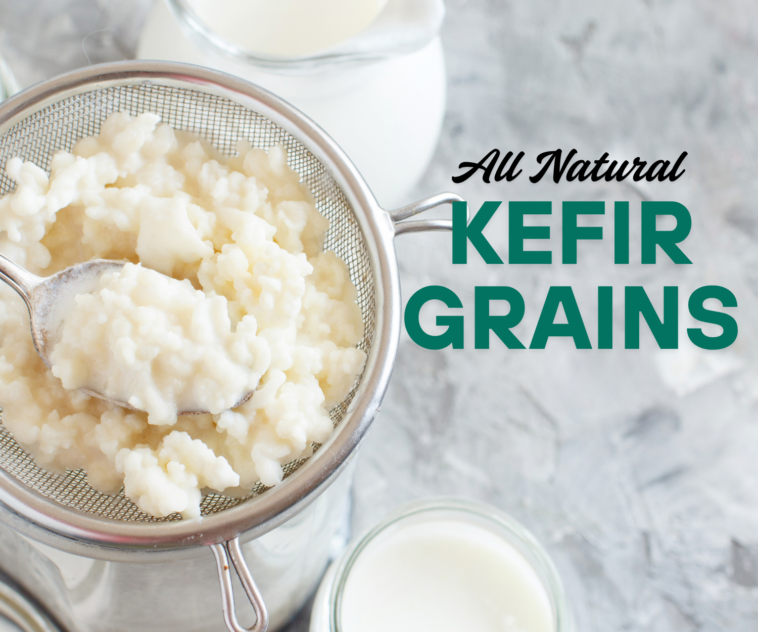 Organic Live Kefir Starter Grains