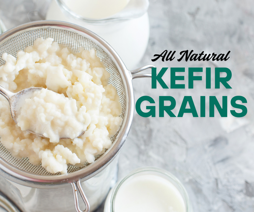 Organic Live Kefir Starter Grains
